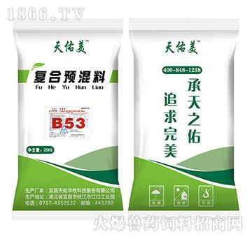 B53-5%uaڏͺA