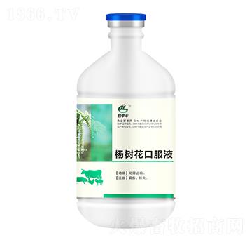 ļS 仨ڷҺ 500ml