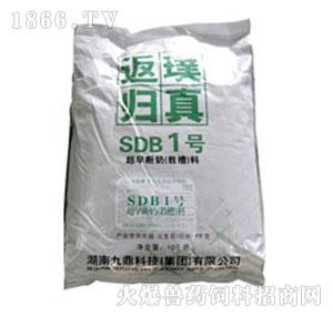 SDB1