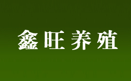 天津市濱海新區鑫旺銀黑狐養殖廠