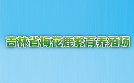 吉林省梅花鹿繁育養殖場