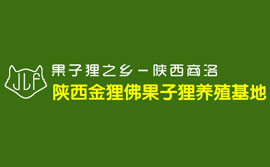 陜西金貍佛果子貍養殖基地