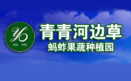 邳州青青河邊草螞蚱果蔬合作社