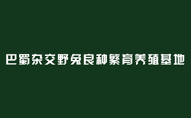 巴蜀雜交野兔良種繁育養殖基地